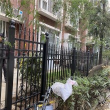 廠學校別墅庭院隔離 鋁藝圍墻 龍潮工匠精品護欄